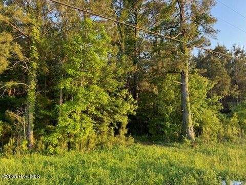 Tiny photo for 53 Nc Hwy 53, Burgaw, NC 28425 (MLS # 100569982)