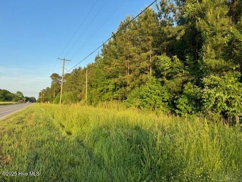Tiny photo for 53 Nc Hwy 53, Burgaw, NC 28425 (MLS # 100569982)