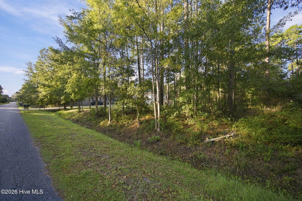 Photo of 1140 Lexington Street, Southport, NC 28461 (MLS # 100604651)