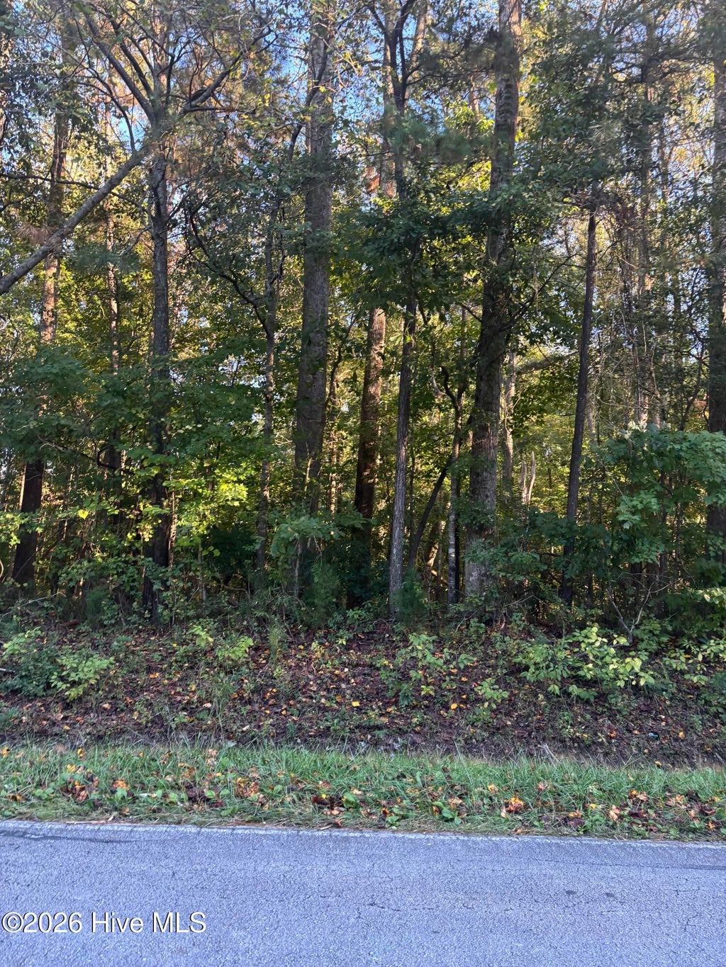 Photo of 415 Old Pollocksville Road, New Bern, NC 28562 (MLS # 100610559)
