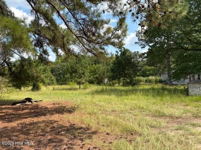 Photo of 3832 Watson Seed Farm Road, Whitakers, NC 27891 (MLS # 100600810)