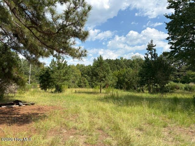 Photo of 3832 Watson Seed Farm Road, Whitakers, NC 27891 (MLS # 100600810)
