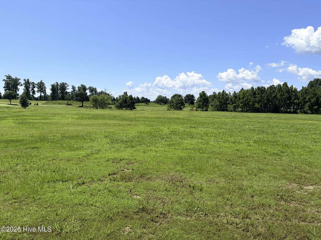 Photo of 132 E Royal Way, Merry Hill, NC 27957 (MLS # 100598301)
