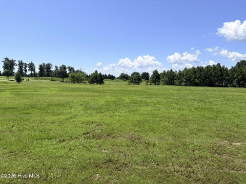 Vacant Land For Sale - 132 E Royal Way<br/> Bertie County, Merry Hill, NC 27957