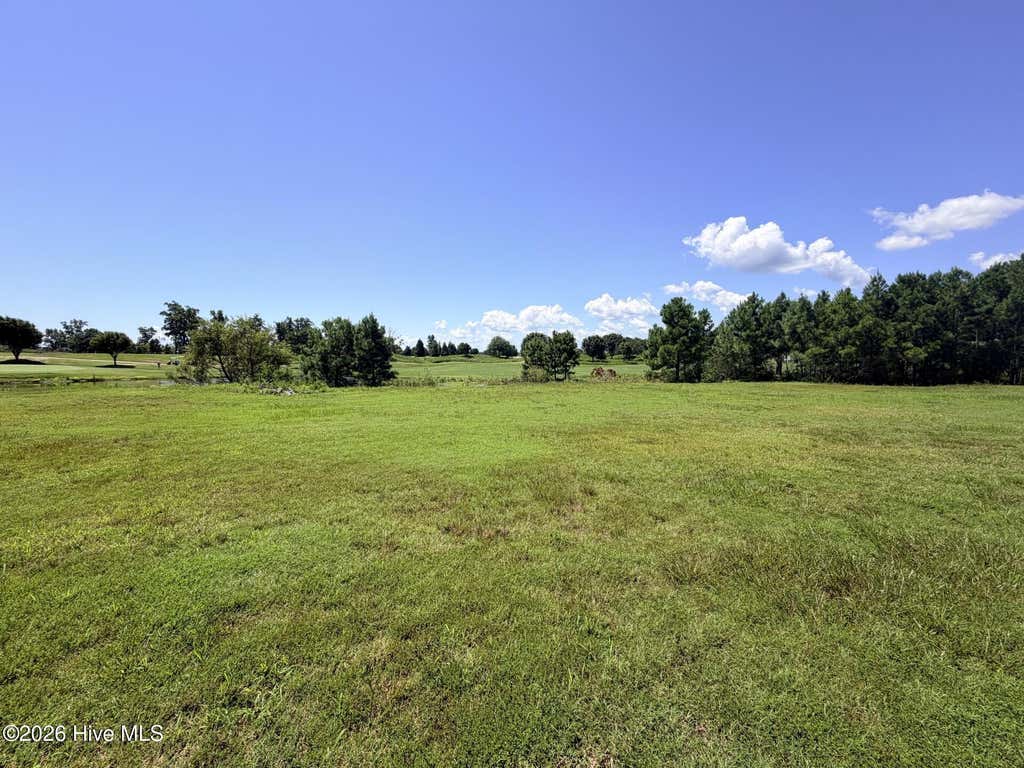 Photo of 132 E Royal Way, Merry Hill, NC 27957 (MLS # 100598301)
