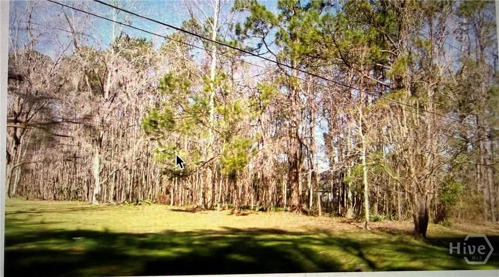 Photo of 0 &amp; 2065 Grove Point Road, Savannah, GA 31419 (MLS # SA360203)