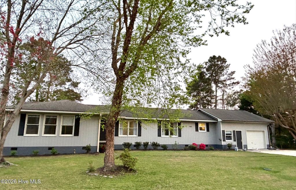 Photo of 111 Tree Fern Drive, Morehead City, NC 28557 (MLS # 100565602)