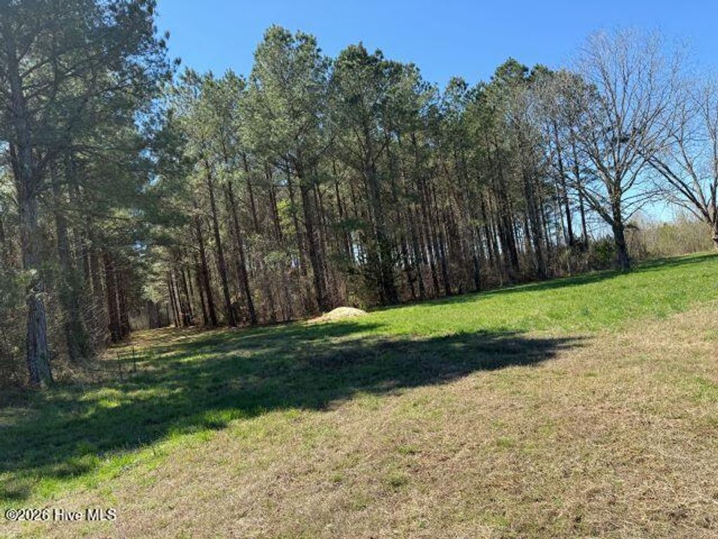 Photo of 358 Flat Branch Road, Gatesville, NC 27938 (MLS # 100560844)