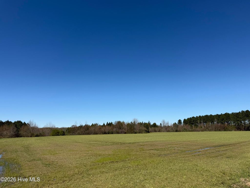 Photo of 358 Flat Branch Road, Gatesville, NC 27938 (MLS # 100560844)