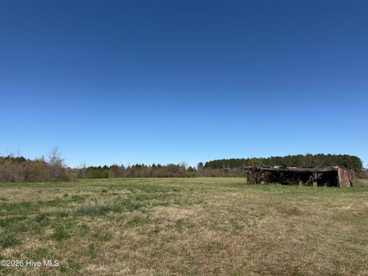 358 FLAT BRANCH RD, GATESVILLE, NC 27938 - Image 1bd0cd7d1ed43eefa8d514d9e20f1e1f/3161693079
