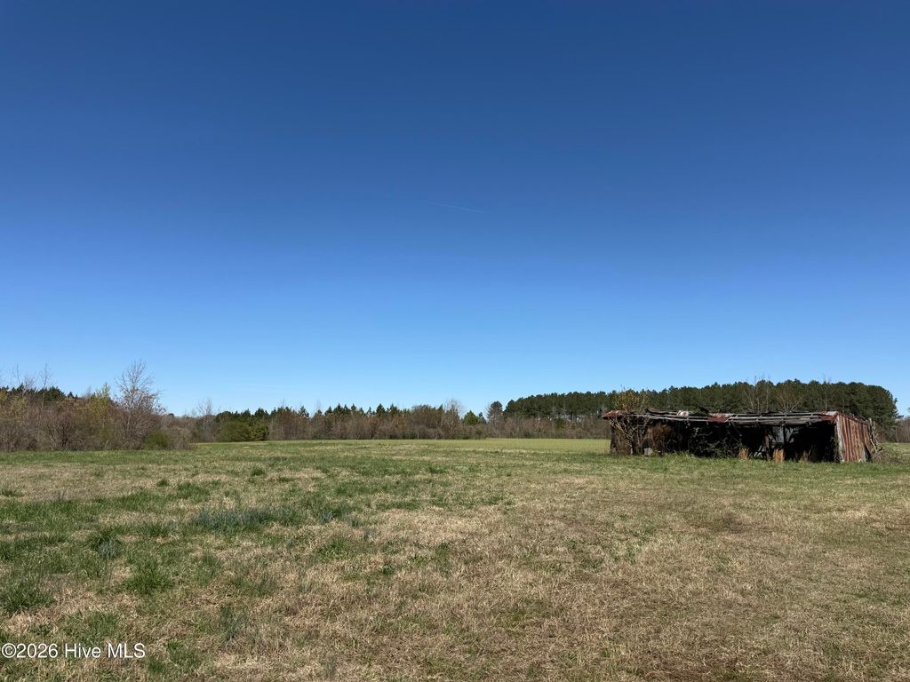 Photo of 358 Flat Branch Road, Gatesville, NC 27938 (MLS # 100560844)