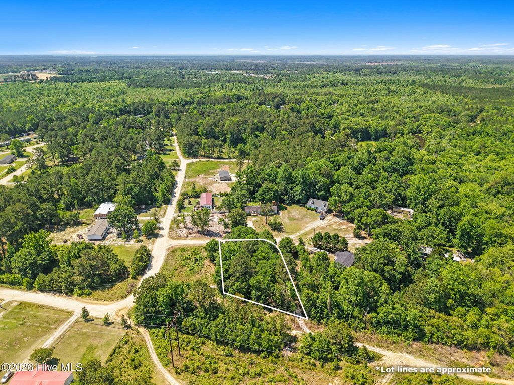 Photo of 490 Wine View Court SE, Bolivia, NC 28422 (MLS # 100575076)