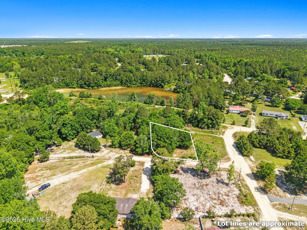 Photo of 490 Wine View Court SE, Bolivia, NC 28422 (MLS # 100575076)