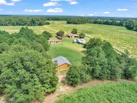 Homes For Sale - 356 Massey-doss Road<br/> Burke County, Keysville, GA 30816