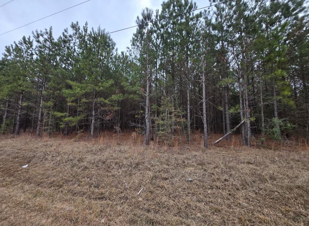 Photo of 25 Seivern Road, Wagener, SC 29164 (MLS # 550416)