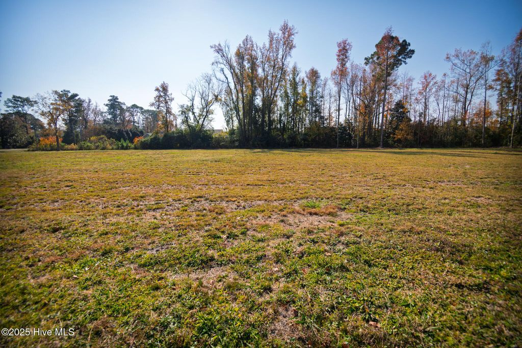 Photo of 2117 Castle Hayne Road, Wilmington, NC 28401 (MLS # 100543499)