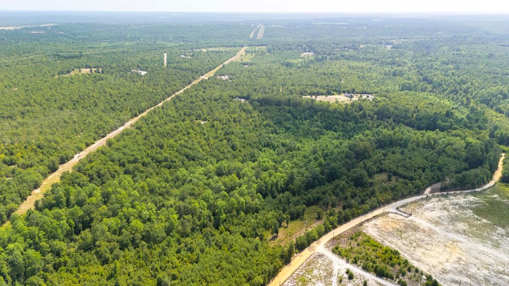 Photo of 2576 Jessie James Pond Road, Wrens, GA 30833 (MLS # 545367)