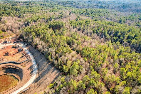 Vacant Land For Sale - 5494 Washington Road<br/> Appling, GA 30802