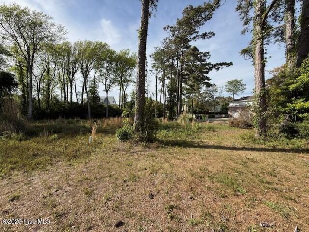 Photo of 75 Yaupon Way, Oak Island, NC 28465 (MLS # 100567357)