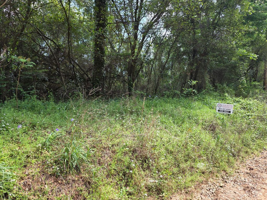 Photo of 2 Woodberry Lane, North Augusta, SC 29841 (MLS # 555215)