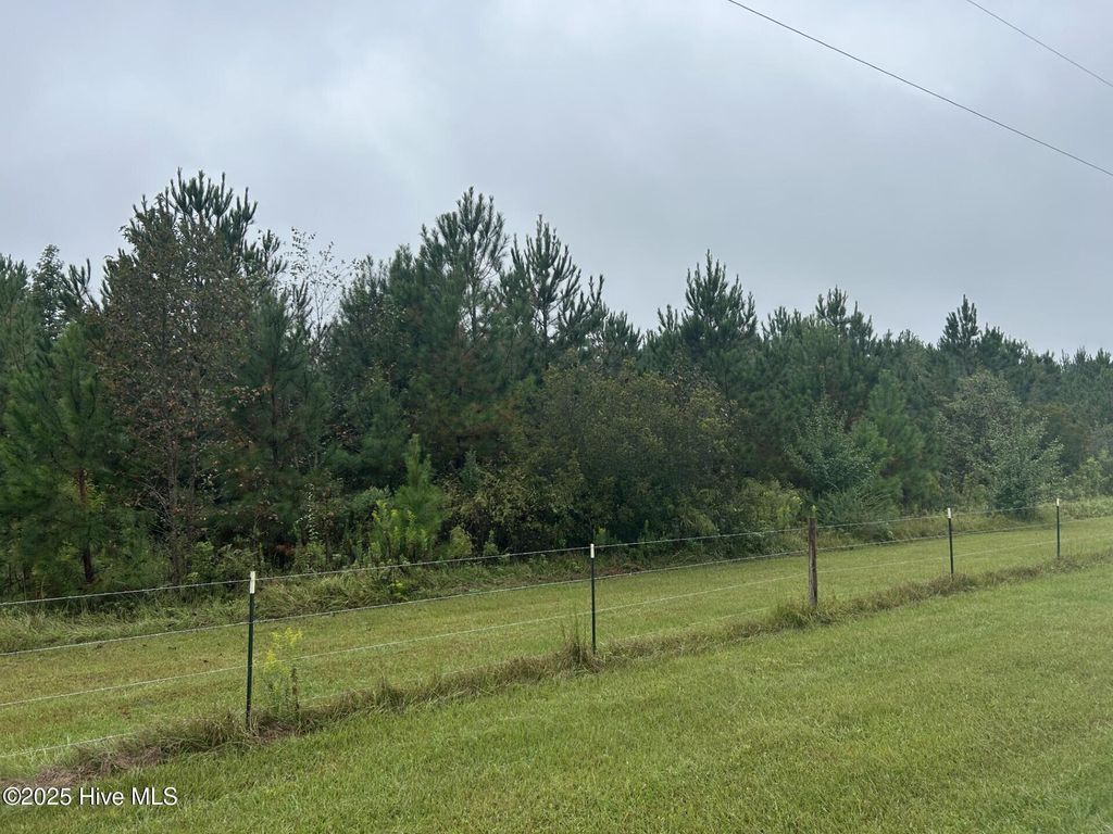 Photo of 106 Crooked Run Road, Willard, NC 28478 (MLS # 100533540)