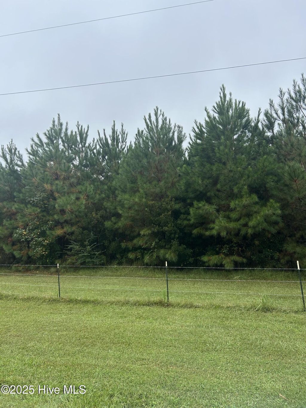 Photo of 106 Crooked Run Road, Willard, NC 28478 (MLS # 100533540)