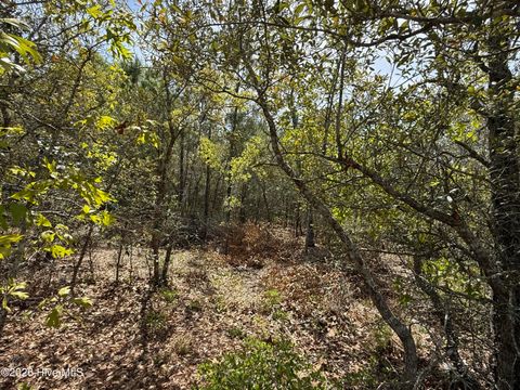 Tiny photo for 3031 Old Berwick Street SW, Shallotte, NC 28470 (MLS # 100565812)