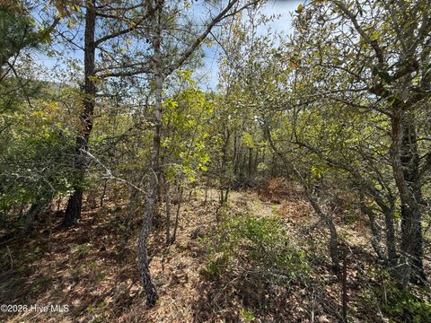 Tiny photo for 3031 Old Berwick Street SW, Shallotte, NC 28470 (MLS # 100565812)