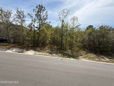 Photo of 3031 Old Berwick Street SW, Shallotte, NC 28470 (MLS # 100565812)