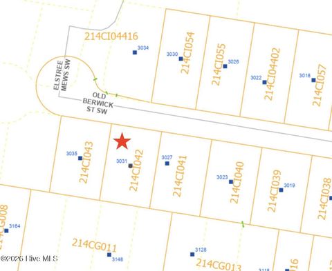 Tiny photo for 3031 Old Berwick Street SW, Shallotte, NC 28470 (MLS # 100565812)