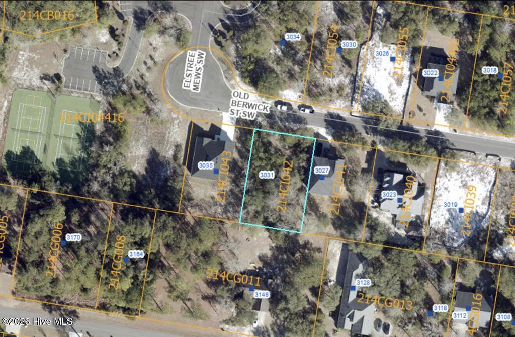 Photo of 3031 Old Berwick Street SW, Shallotte, NC 28470 (MLS # 100565812)