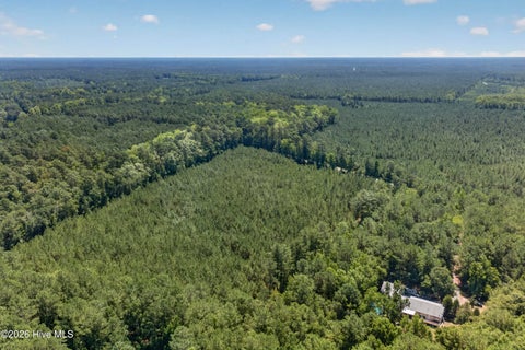 Tiny photo for 82 Point Caswell Rd Road, Atkinson, NC 28421 (MLS # 100591684)
