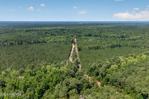 Tiny photo for 82 Point Caswell Rd Road, Atkinson, NC 28421 (MLS # 100591684)