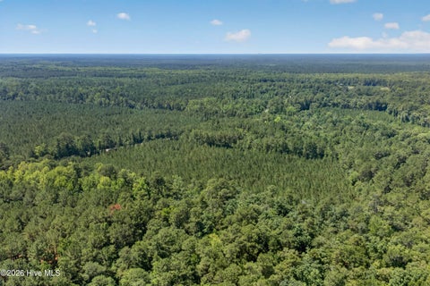 Tiny photo for 82 Point Caswell Rd Road, Atkinson, NC 28421 (MLS # 100591684)