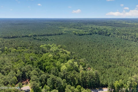 Tiny photo for 82 Point Caswell Rd Road, Atkinson, NC 28421 (MLS # 100591684)