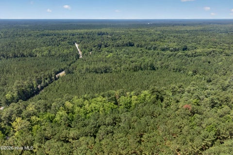 Tiny photo for 82 Point Caswell Rd Road, Atkinson, NC 28421 (MLS # 100591684)