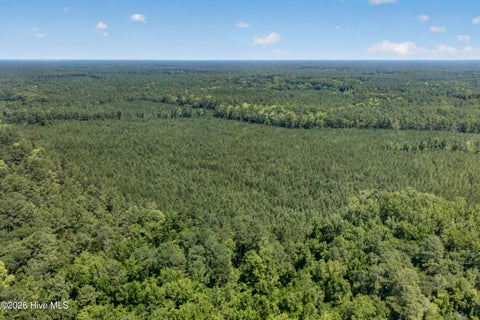 Tiny photo for 82 Point Caswell Rd Road, Atkinson, NC 28421 (MLS # 100591684)