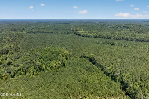 Tiny photo for 82 Point Caswell Rd Road, Atkinson, NC 28421 (MLS # 100591684)