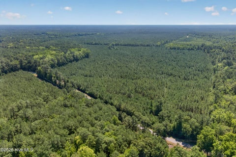 Tiny photo for 82 Point Caswell Rd Road, Atkinson, NC 28421 (MLS # 100591684)