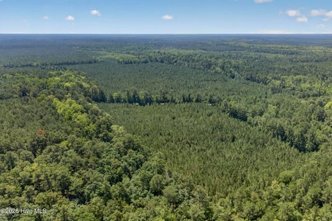 Tiny photo for 82 Point Caswell Rd Road, Atkinson, NC 28421 (MLS # 100591684)