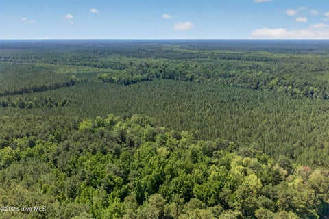 Tiny photo for 82 Point Caswell Rd Road, Atkinson, NC 28421 (MLS # 100591684)