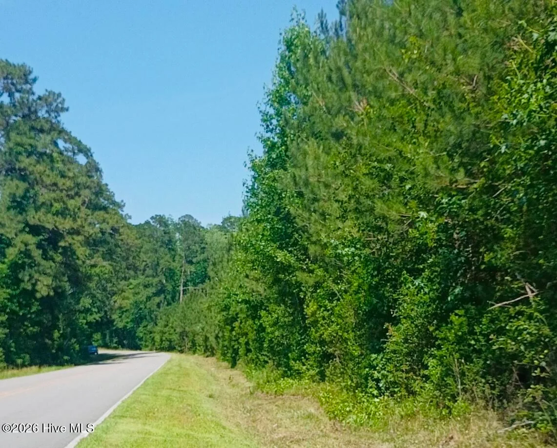 82 Acres Point Caswell Rd Road, Atkinson, NC, 28421