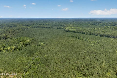 Tiny photo for 82 Point Caswell Rd Road, Atkinson, NC 28421 (MLS # 100591684)