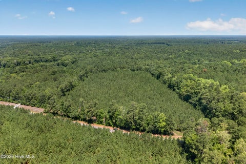 Tiny photo for 82 Point Caswell Rd Road, Atkinson, NC 28421 (MLS # 100591684)