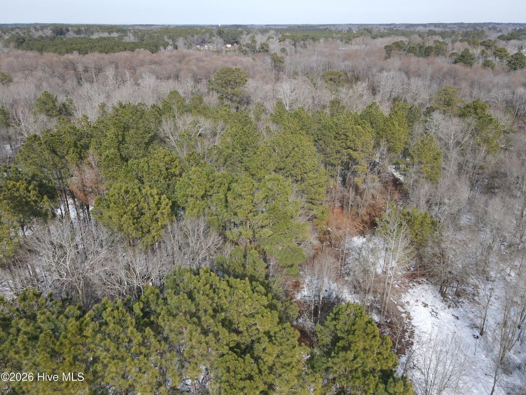 Photo of 0 Smith Road, Gibson, NC 28343 (MLS # 100552681)