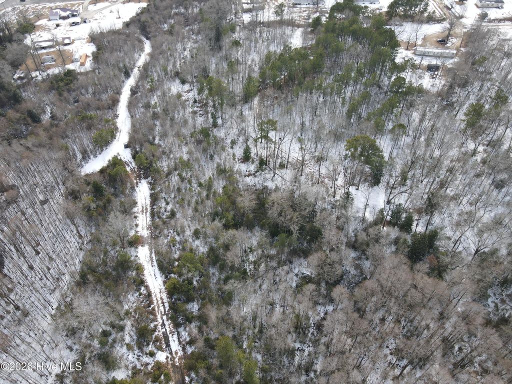 Photo of 0 Smith Road, Gibson, NC 28343 (MLS # 100552681)