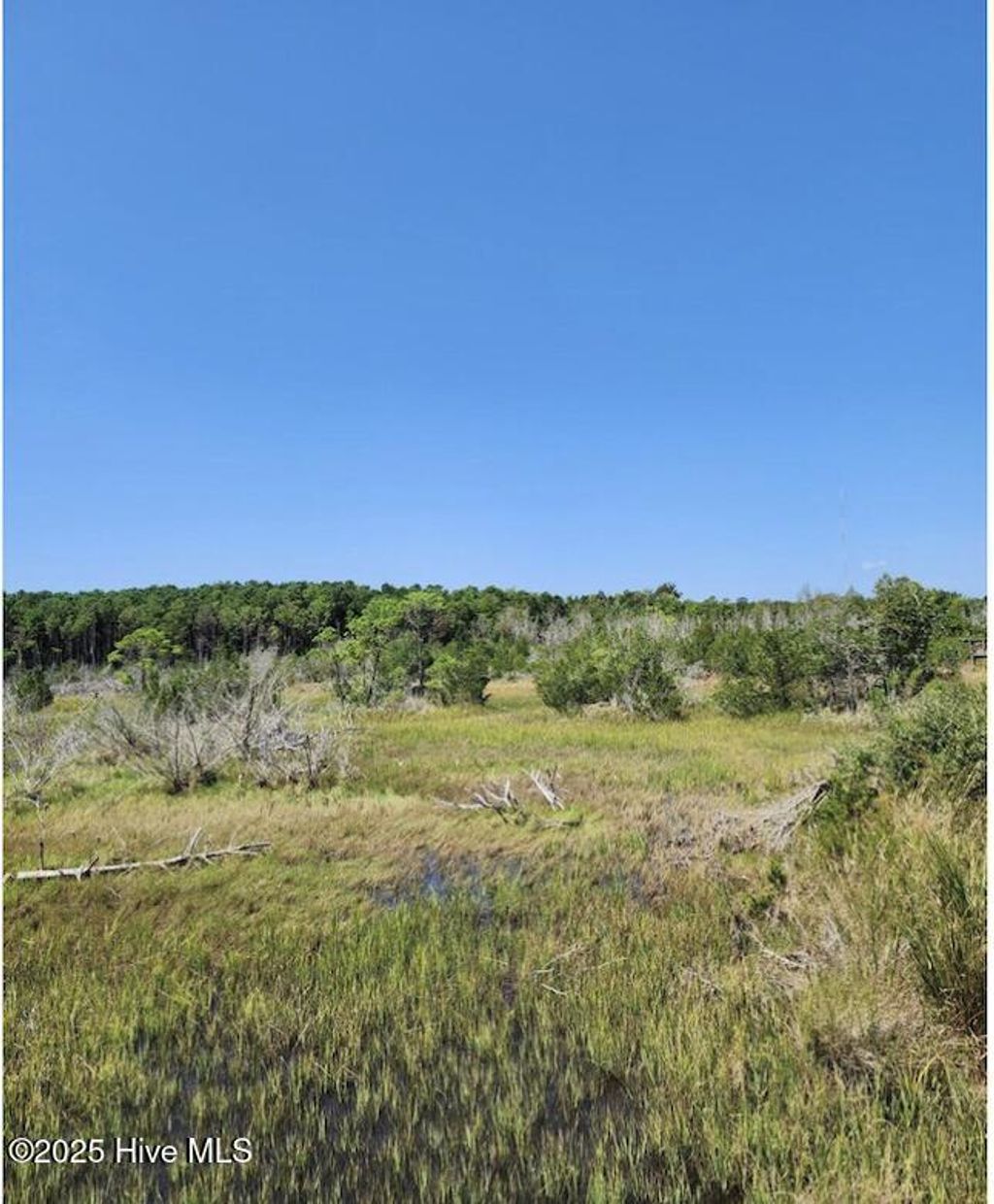 Photo of 170 Royal Palms Way Way, Holly Ridge, NC 28445 (MLS # 100484468)