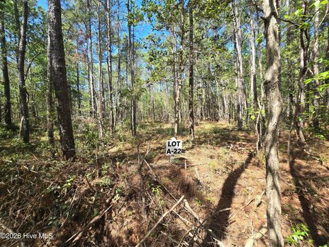 Tiny photo for 22 Renee Drive, Hampstead, NC 28443 (MLS # 100567053)