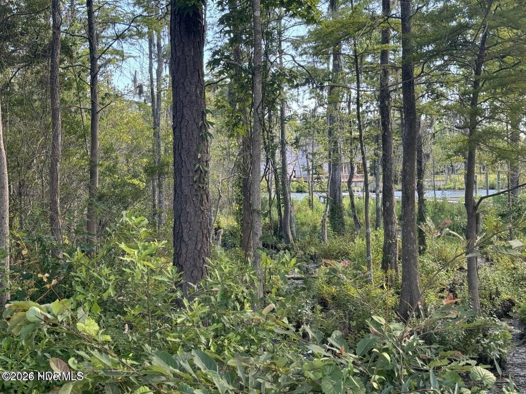 Photo of 318 Megan Loop S, Hertford, NC 27944 (MLS # 100610686)