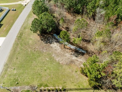 Tiny photo for 207 Everett Park Trail, Holly Ridge, NC 28445 (MLS # 100561510)